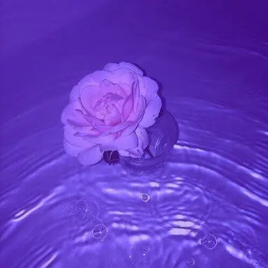 Profile image of 황수현