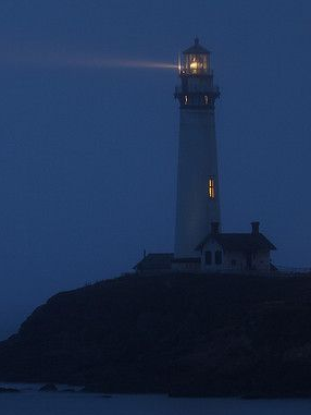 ... 안개가 자욱한 밤입니다. 대표 이미지