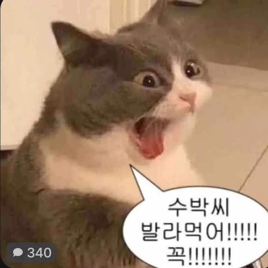 GlazedBrick4859의 포세이큰인뒈 님이고얌미임