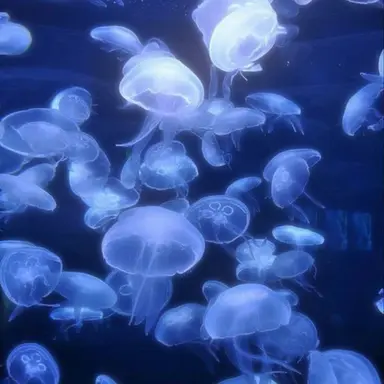 Profile image of 행크