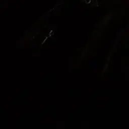 Go_의 バッキー夢