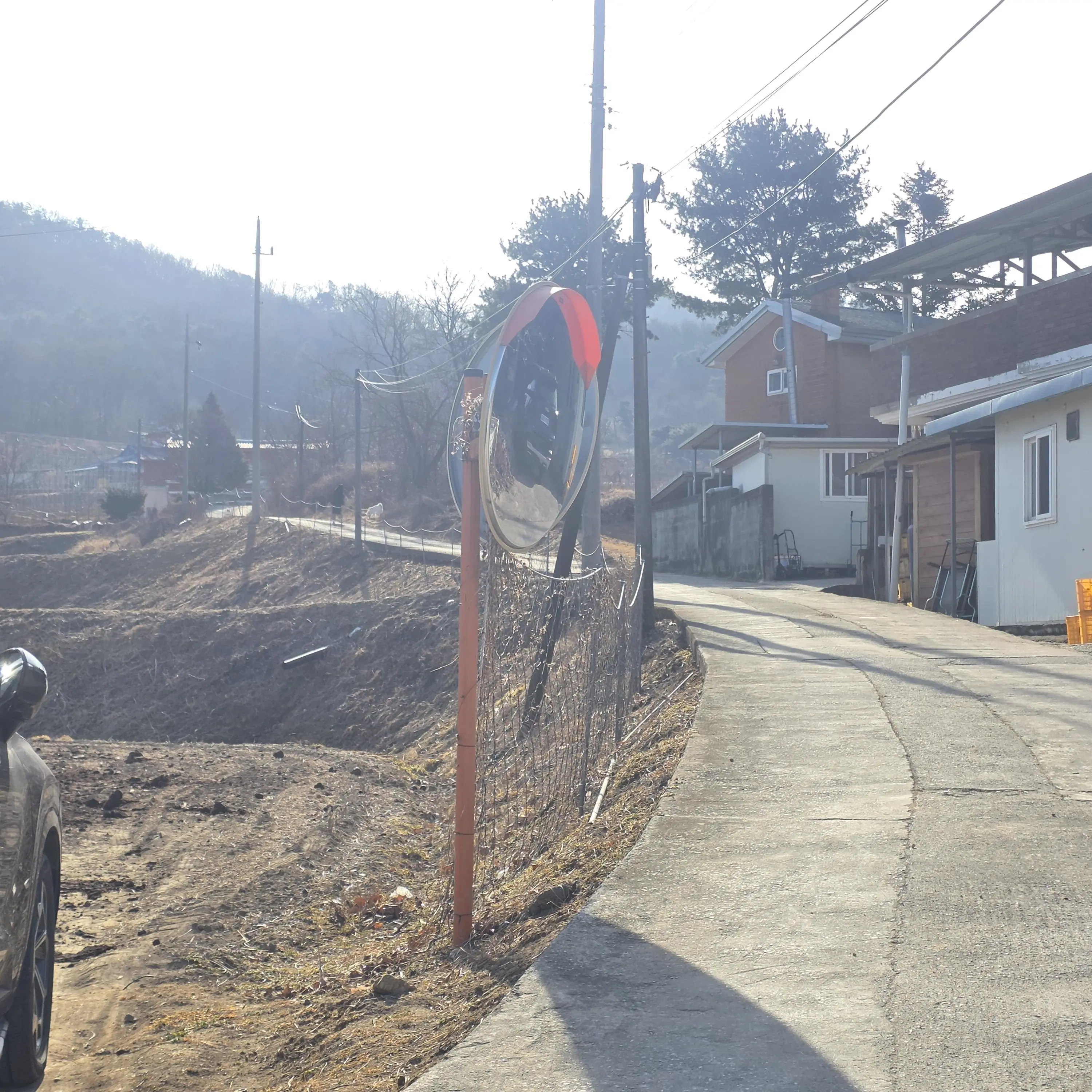 kapibeethoven의 시골에 놀로간 삼형재