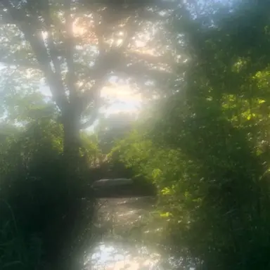 Profile image of 김종인