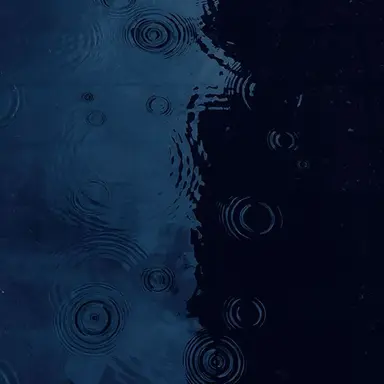 Profile image of 박선우