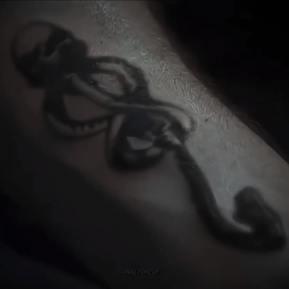 Gryffindor의 드레이코 말포이