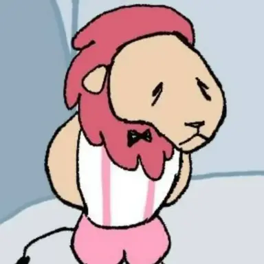 Profile image of 파이