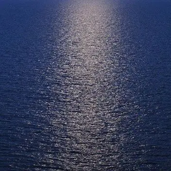 Profile image of 김정후