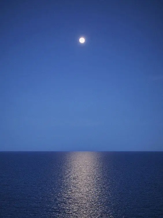 thisiskyra의 김정후