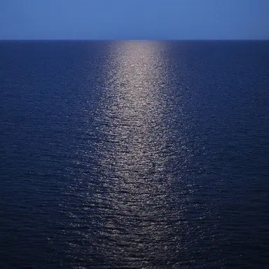 Profile image of 김정후