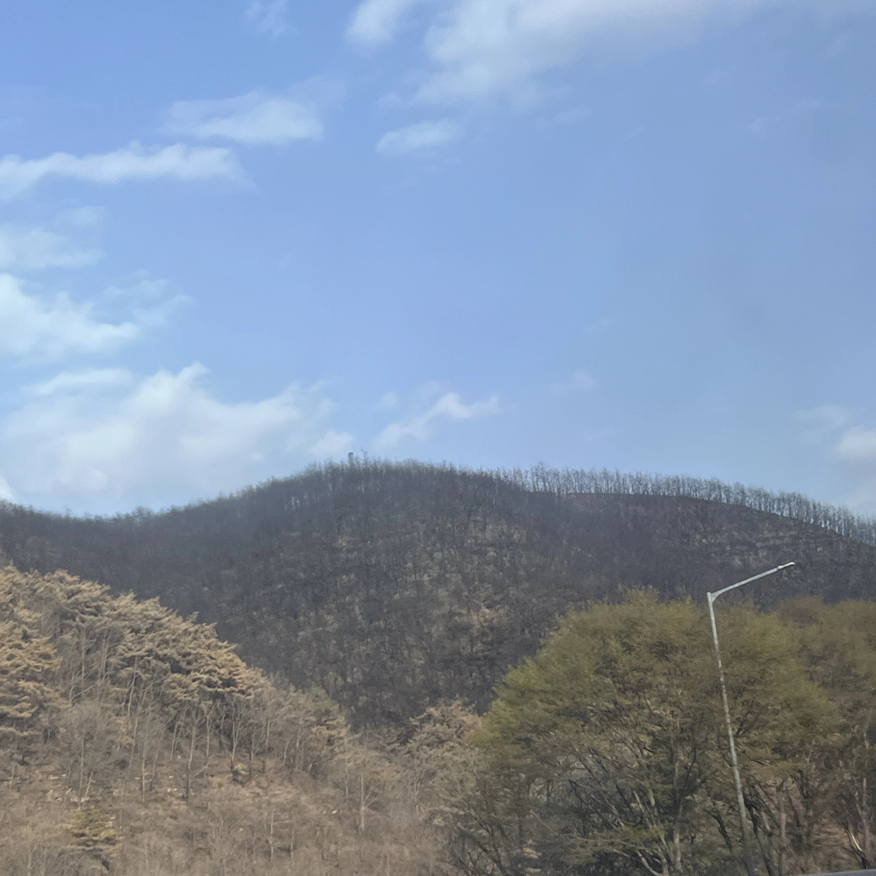 최종국면