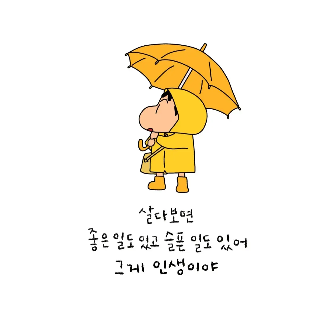 IllKiwi2666의 짱구