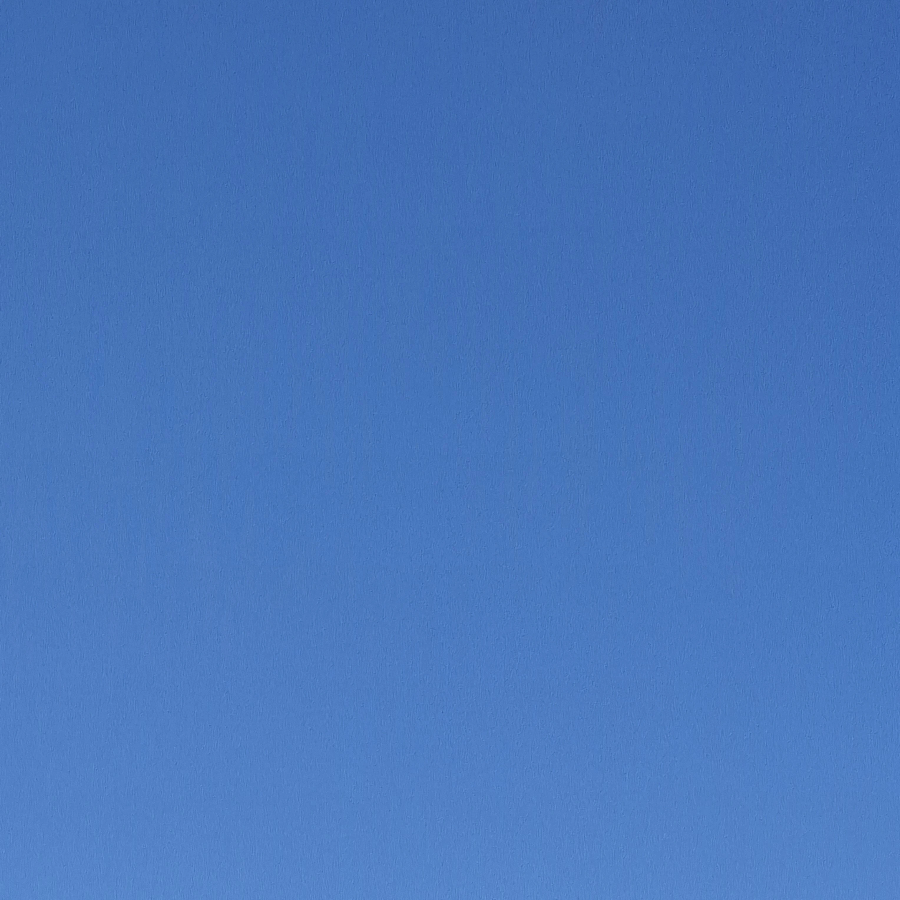 버섯도리