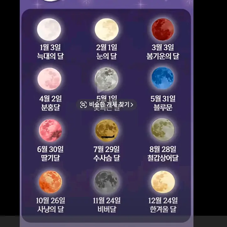 GustyTrump5480의 신비아파트+여우