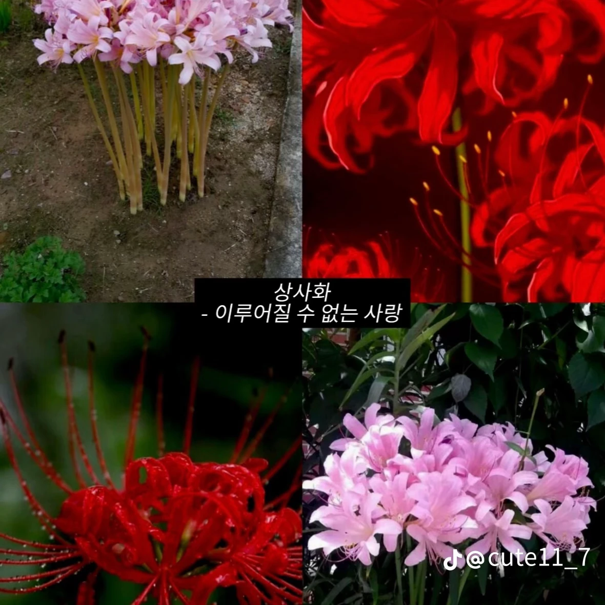 전인경