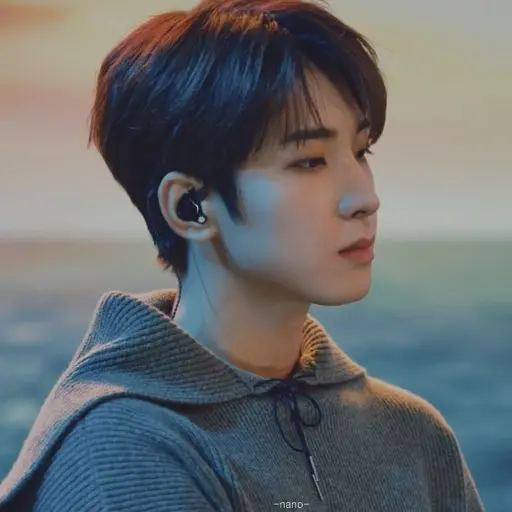wonwoo.wife.ysl의 전원우