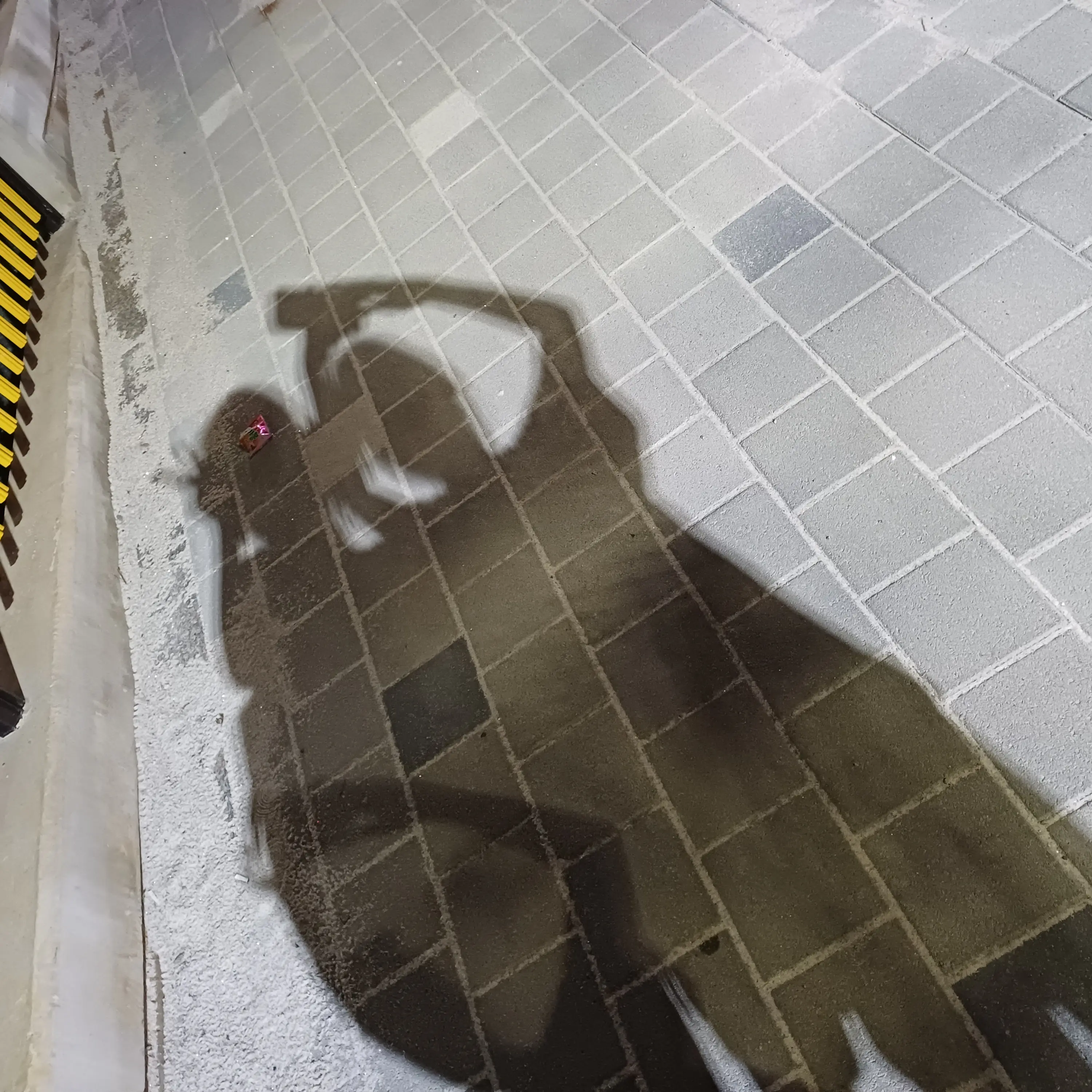 DirectBike6503의 픽셀리가족