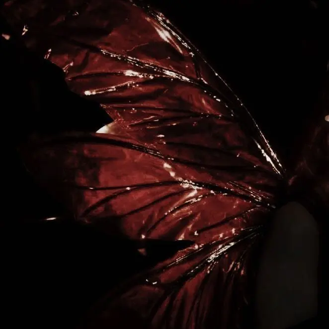 life_insurance의 두솔 경장