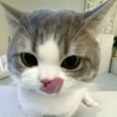 Profile image of 해설사