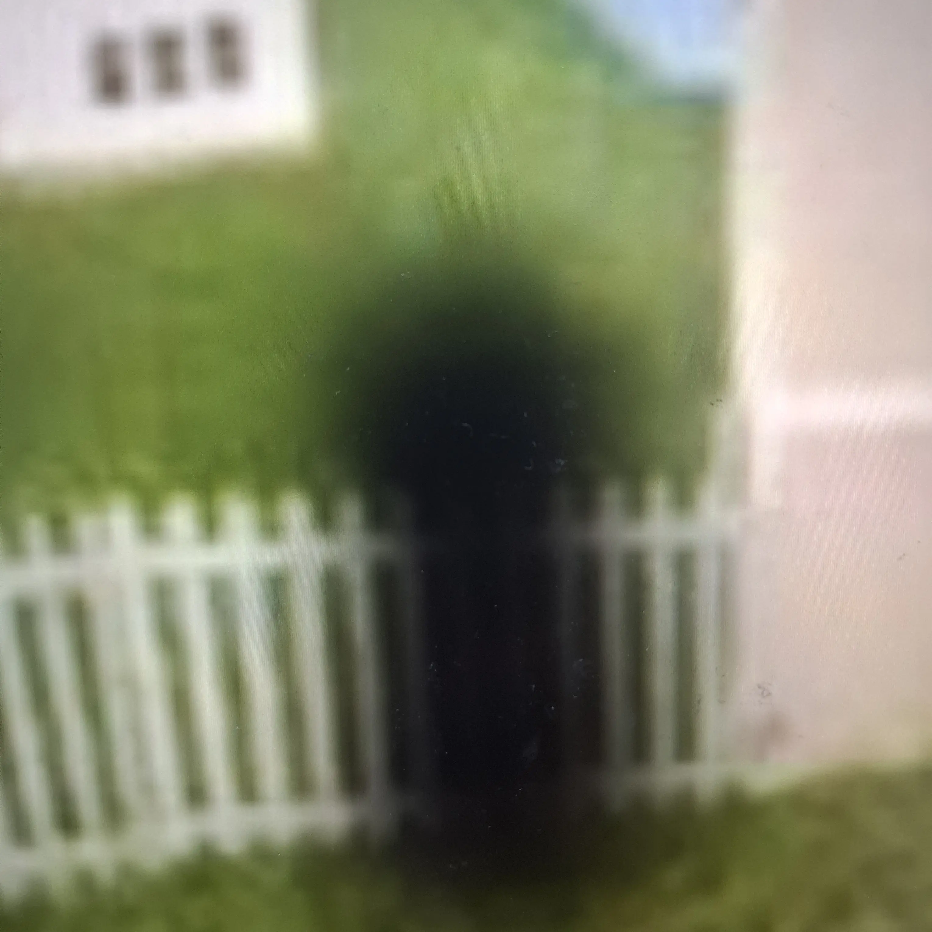 BoneBlow1212의 ?ʎʇı̣ןɐǝɹ sı̣ sı̣ɥʇ