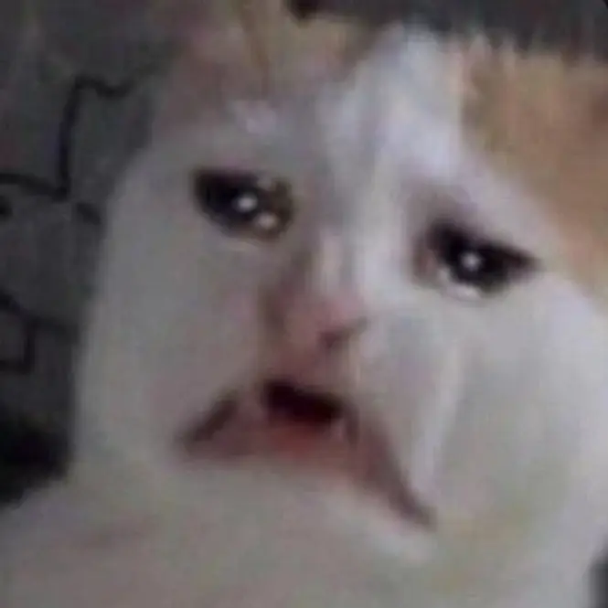 DoughyEgret4761의 환생햇는데 오비스트 오빠들..?!