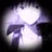 伏黒恵