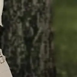 BoldSack7052의 メンバーからの好感度が見える？！