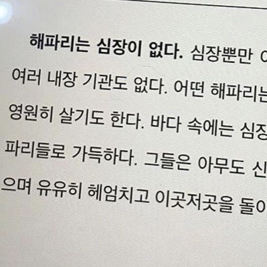 🪼 대표 이미지