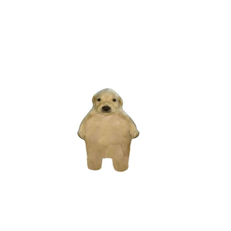 ︎ 대표 이미지