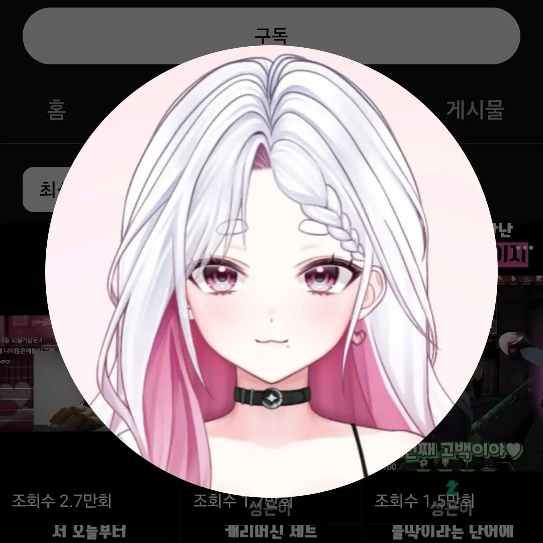 RoughScrew8094의 은아님이 얀데레