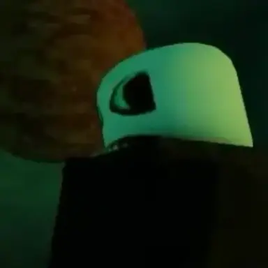 Profile image of パースー