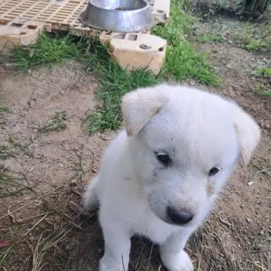 Profile image of 바코