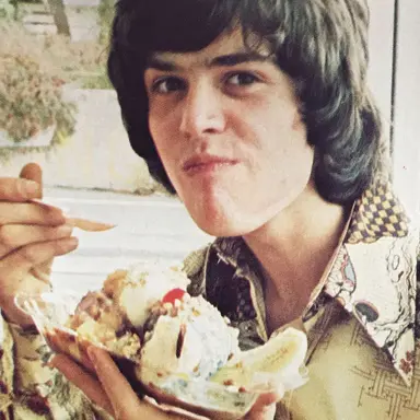 Profile image of Donny Osmond
