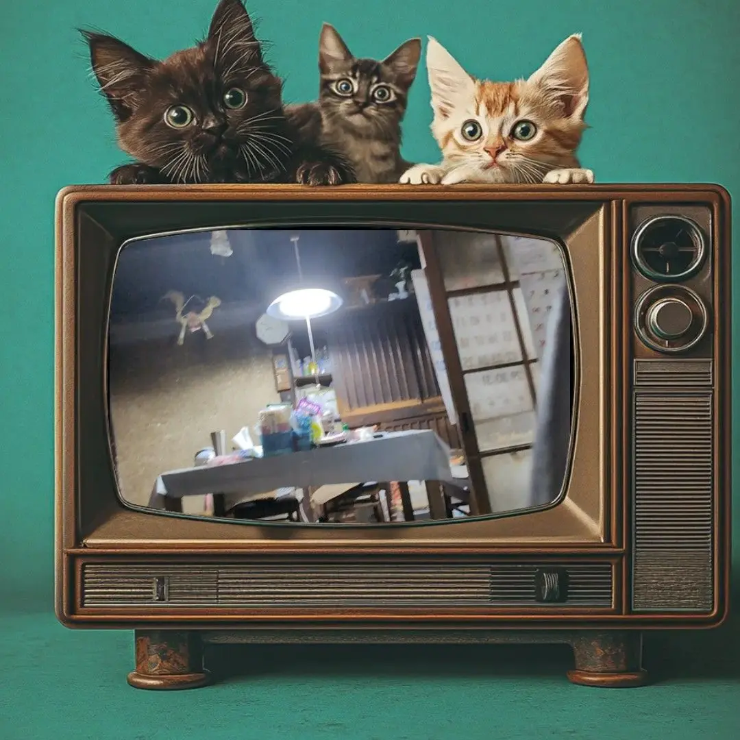 RelishDrone6990의 戦闘機とバイク世界