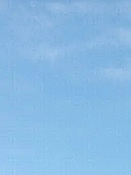 EliteOlm4326의 子供でありたい…？