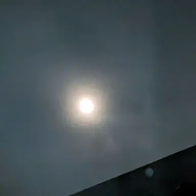 Profile image of モブ子