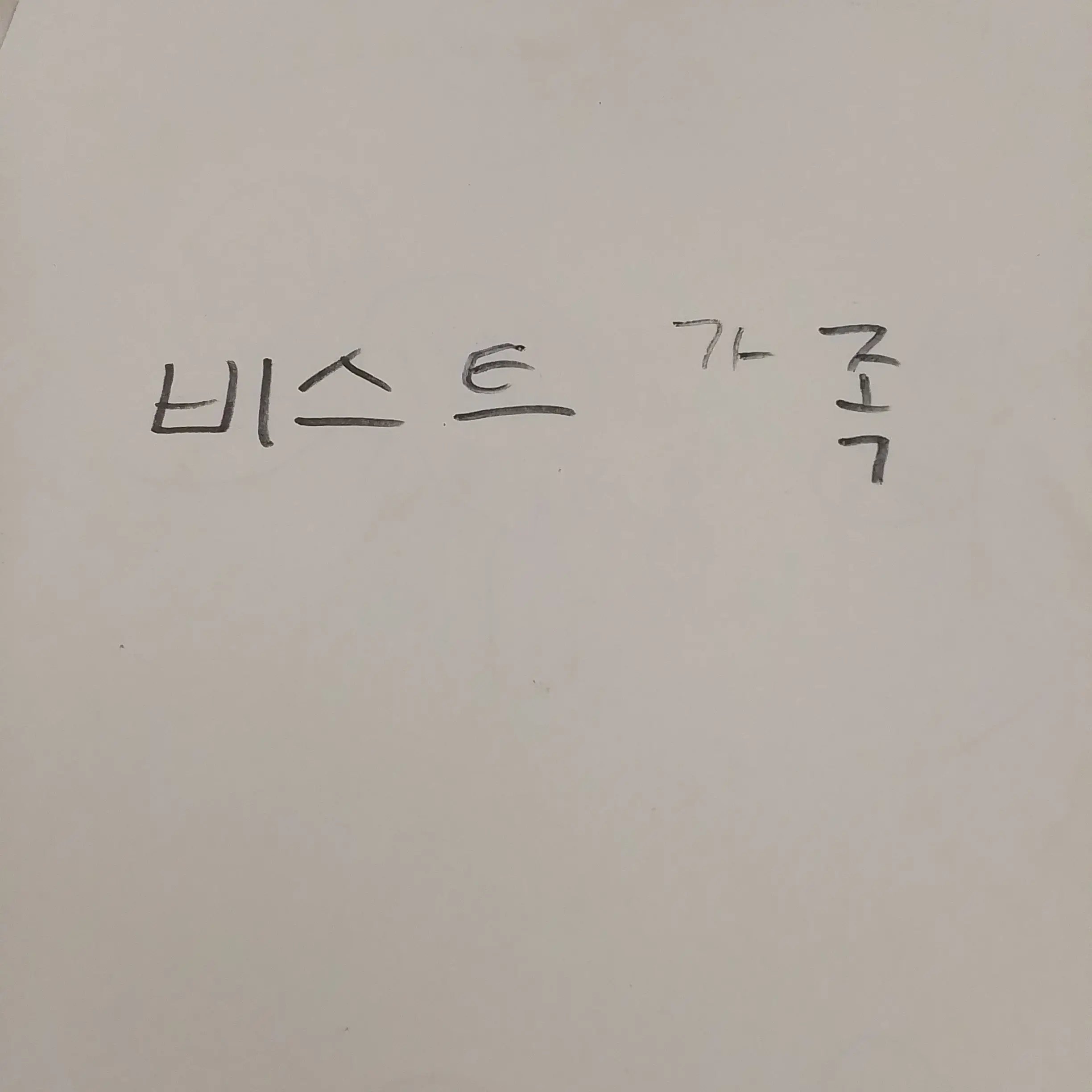 ShortHose0285의 비스트가족