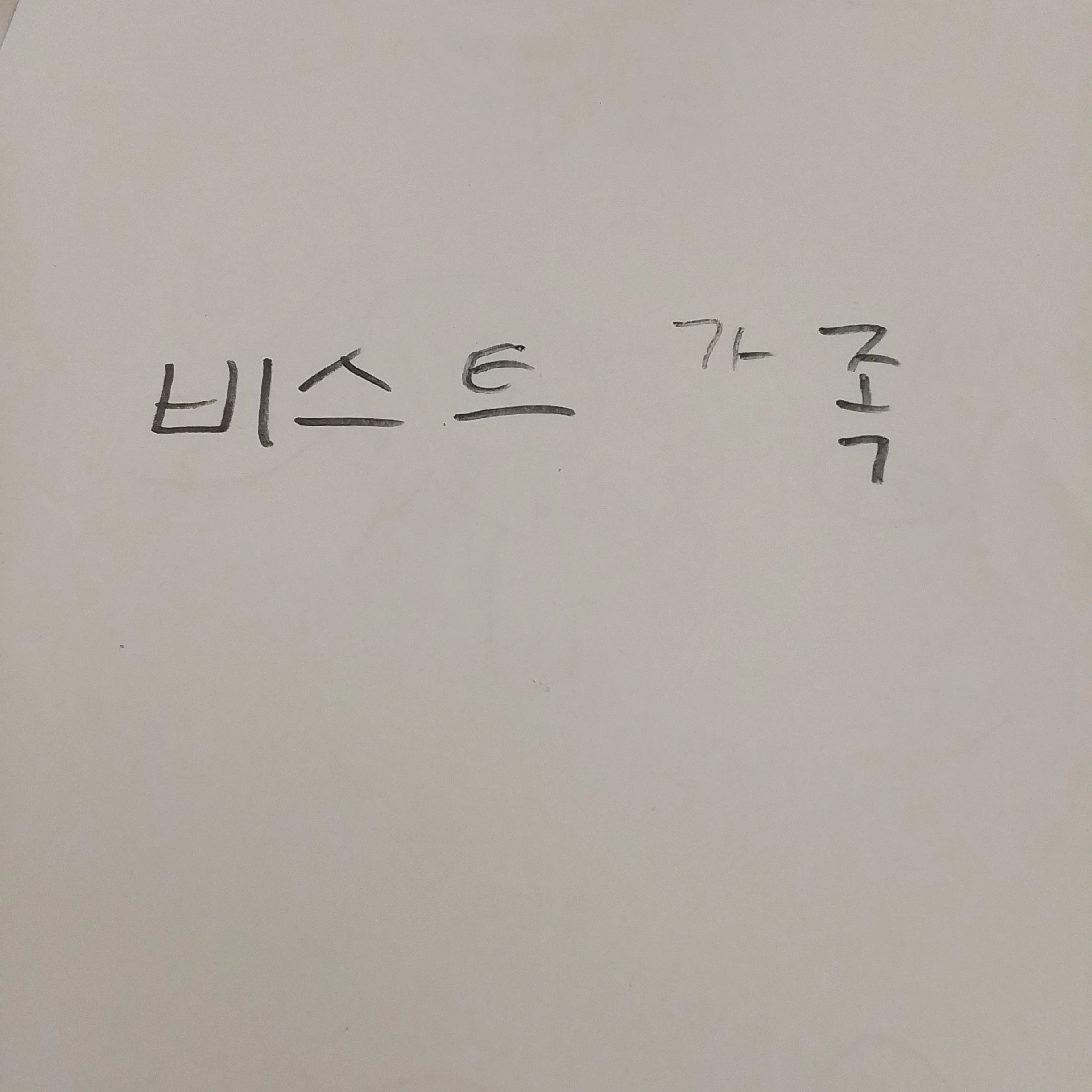 비스트 가족