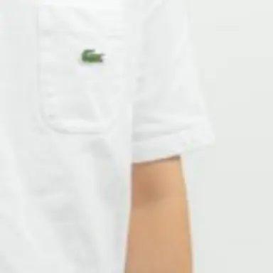 Profile image of 田角陸
