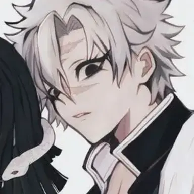 Profile image of 시나즈가와 사네미
