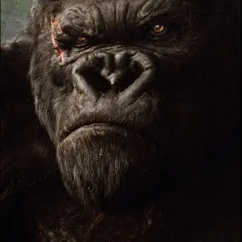 Profile image of 킹콩