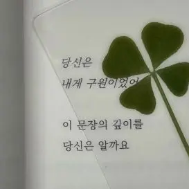 Profile image of 김가을