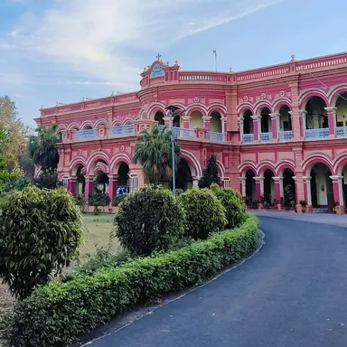Profile image of Bimbo University