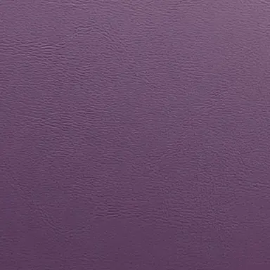 Profile image of 황수현