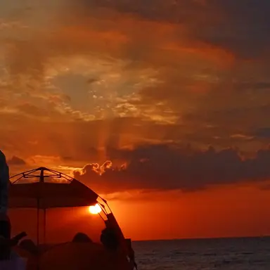 Profile image of 박덕개