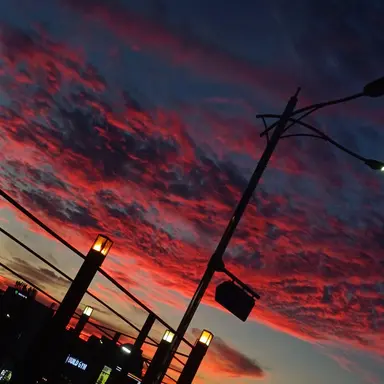 Profile image of 서라더