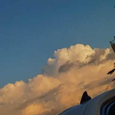 Profile image of 김각별