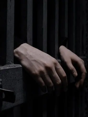 aurigacmakez의 Criminal Prisoner