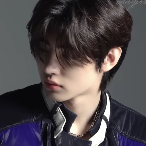 채설호