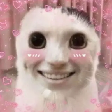 Profile image of 조니