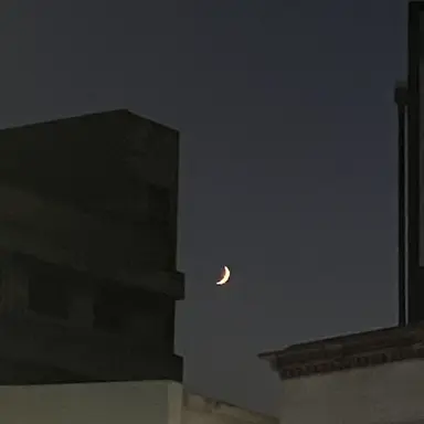 Profile image of 봉안나